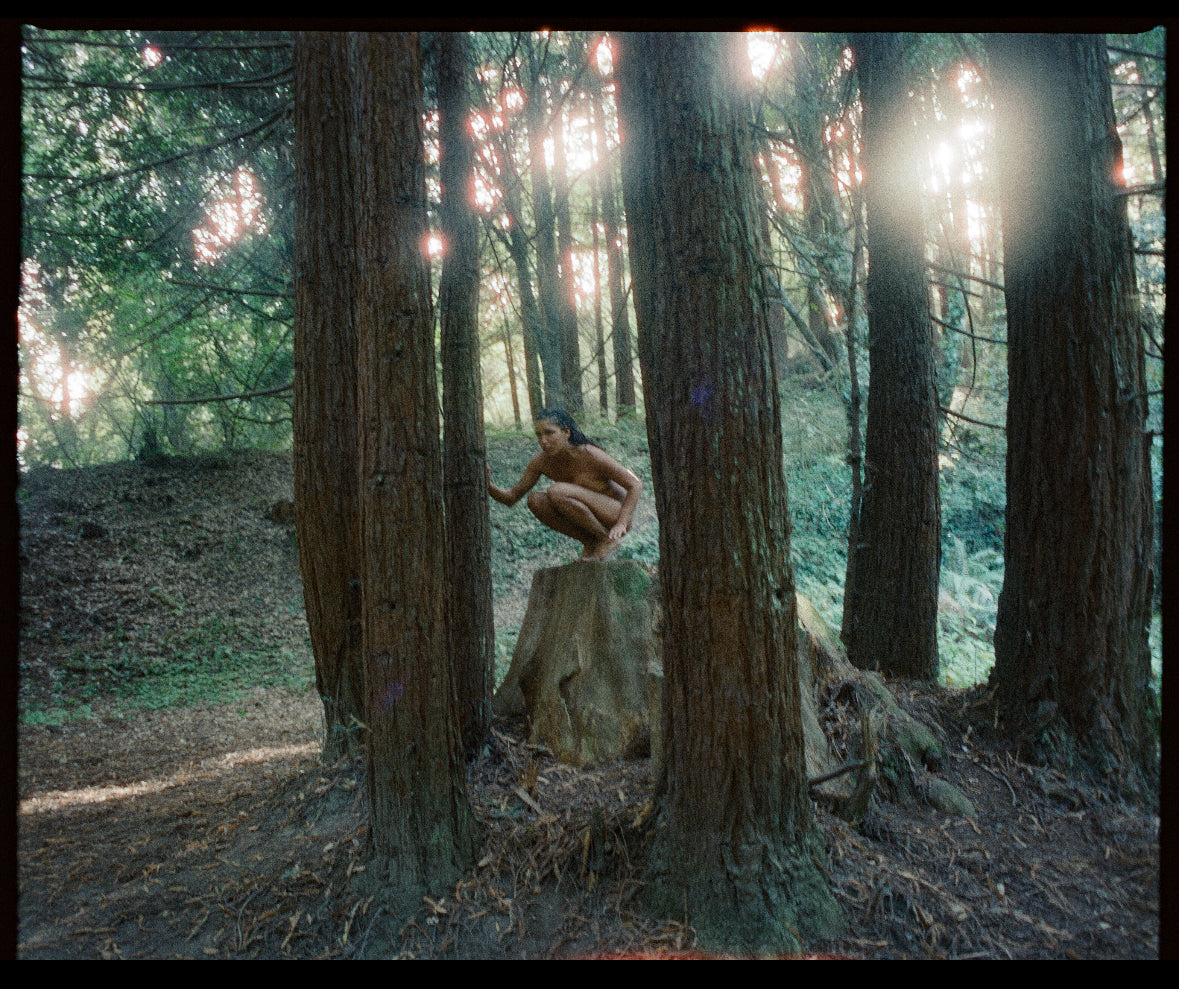 Art Print: Primal Scream